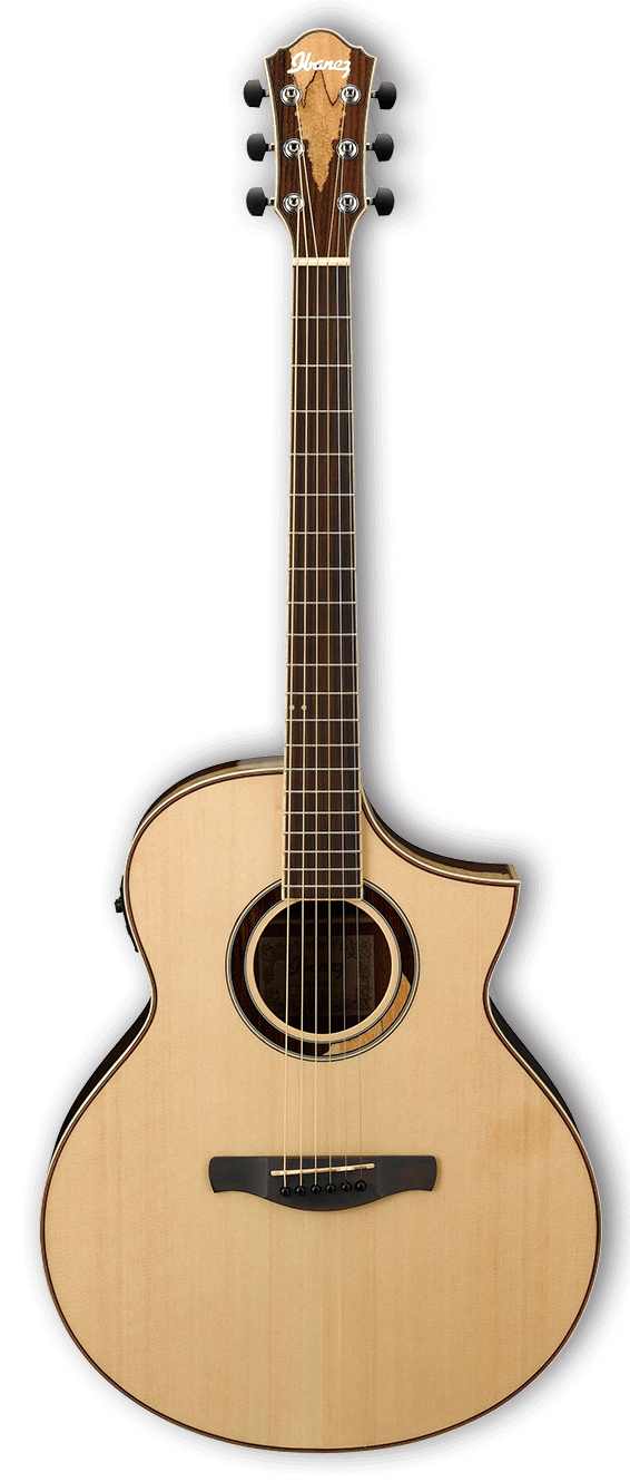 Ibanez AEW51 6 String Acoustic-Electric Guitar