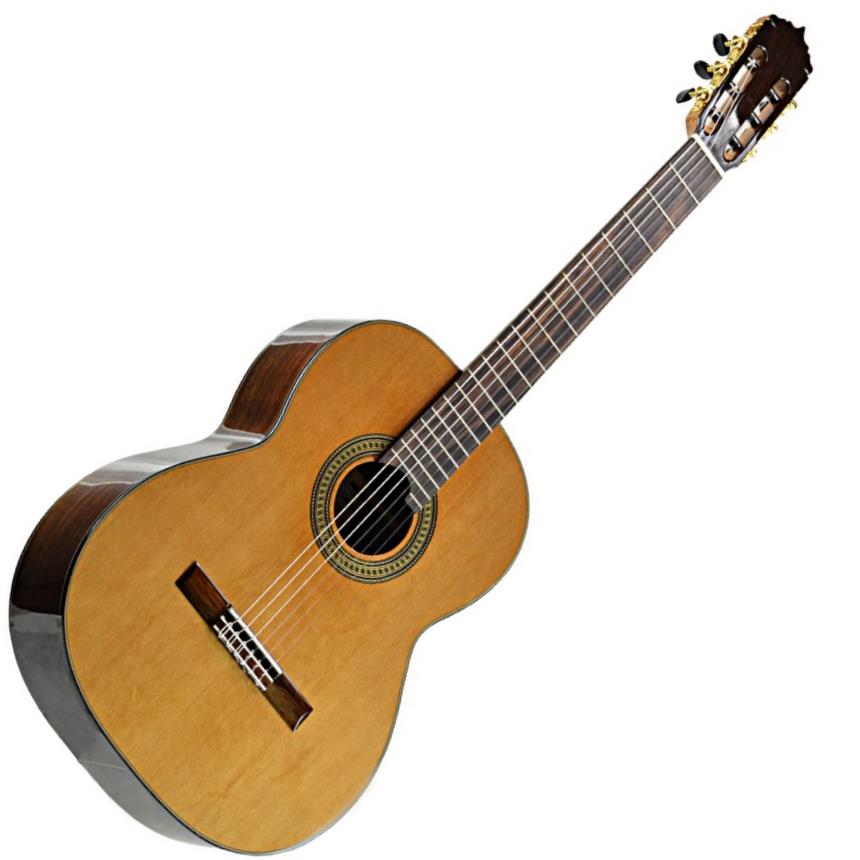 Antonio Giuliani CL-6 Rosewood Classical Guitar | Gearank