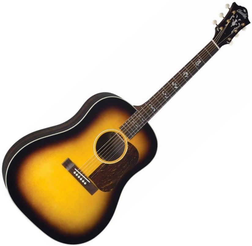 Blueridge BG-160 Acoustic Guitar