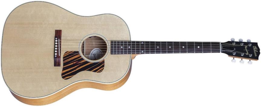 The Different Types of Acoustic Guitars Explained | Gearank