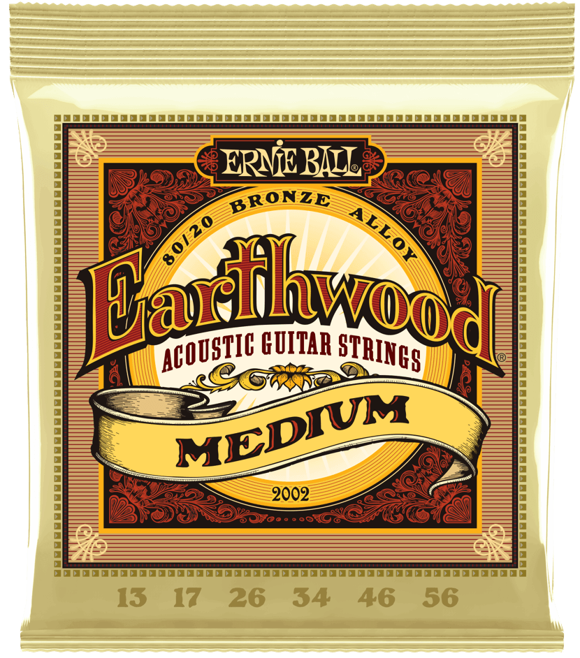 Ernie Ball 2002 Earthwood 80/20 Bronze Medium Acoustic Guitar Strings (Medium)