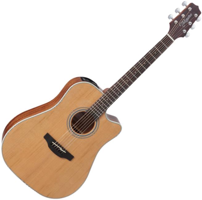 Takamine GD20CE Acoustic-Electric Guitar