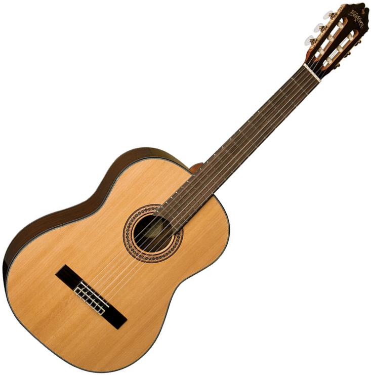 Washburn C80S Nylon String Guitar