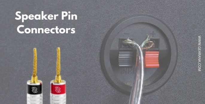 Speaker Pin