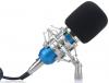 Floureon BM-800 Condenser Microphone w/ Shockmount