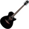 Ibanez AEG10II 6 String Acoustic-Electric Guitar 