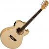 Washburn EA20 Acoustic-Electric Guitar